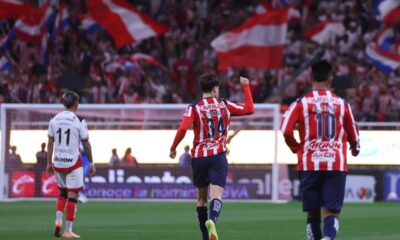 hormiga gonzales se une a vini 29 oct 2025