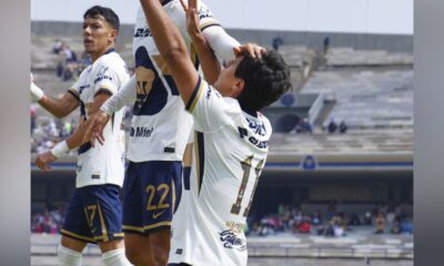 macias no renueva 21 nov 2025