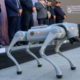 ROBOT 12 FEB 2026
